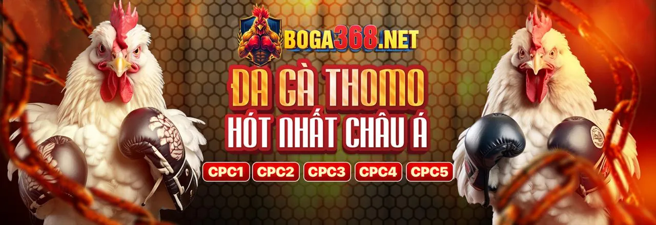 Cookie Cần Thiết nohu90